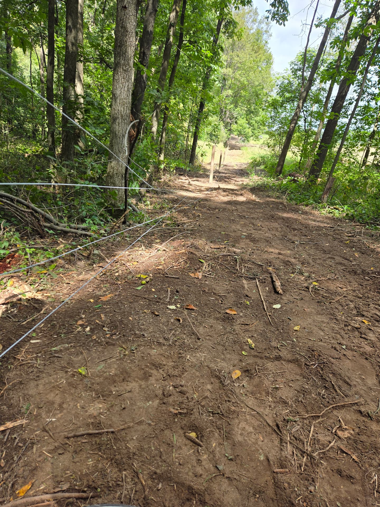 Cleared dirt trail running through a wooded area