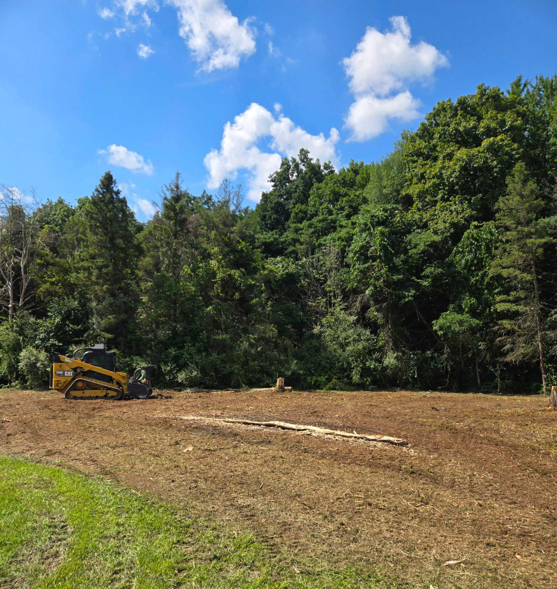 CAT 299D land clearing machine in a freshly cleared field with trees in the background