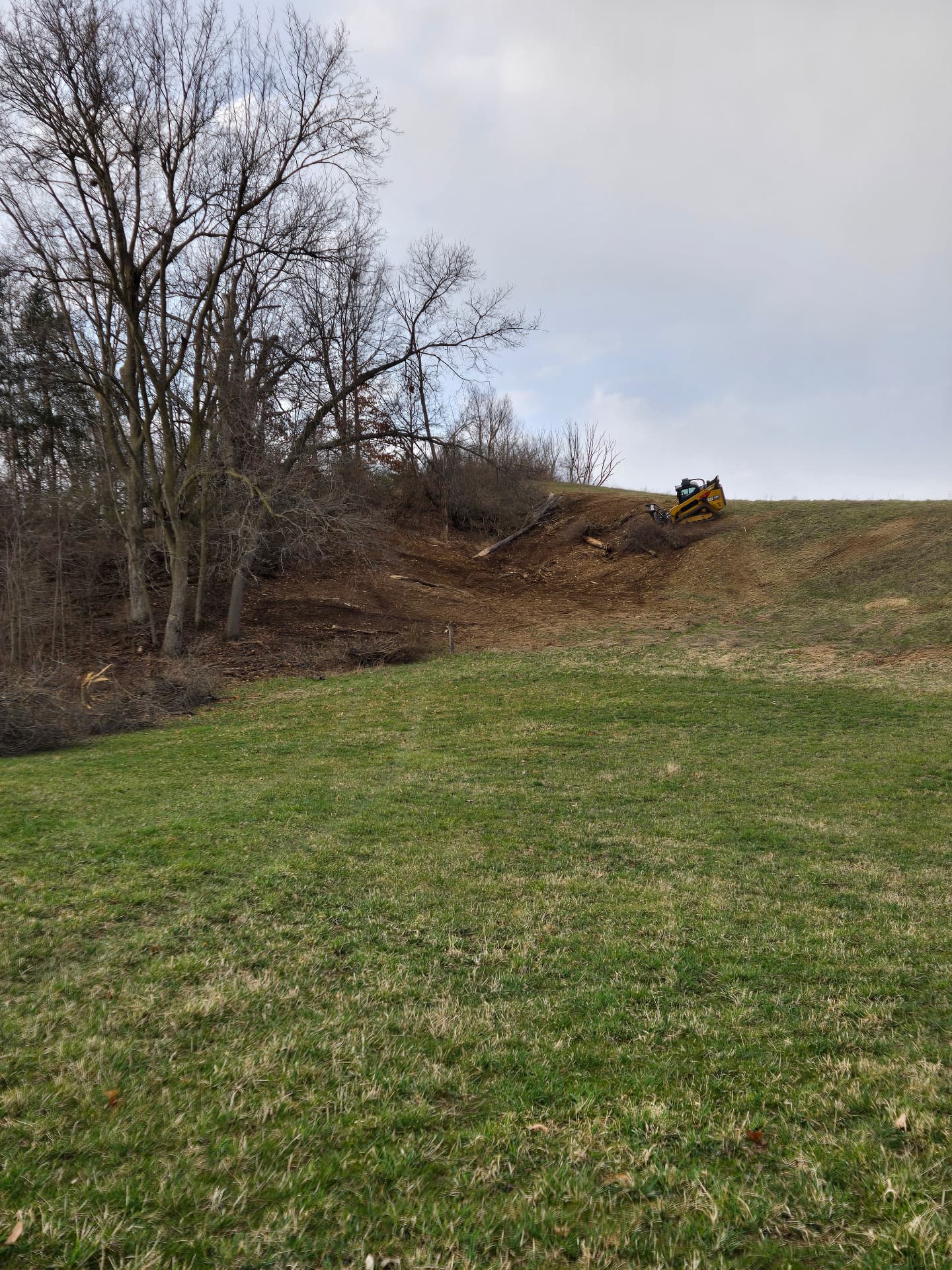 Land clearing machine mulching brush on a sloped field