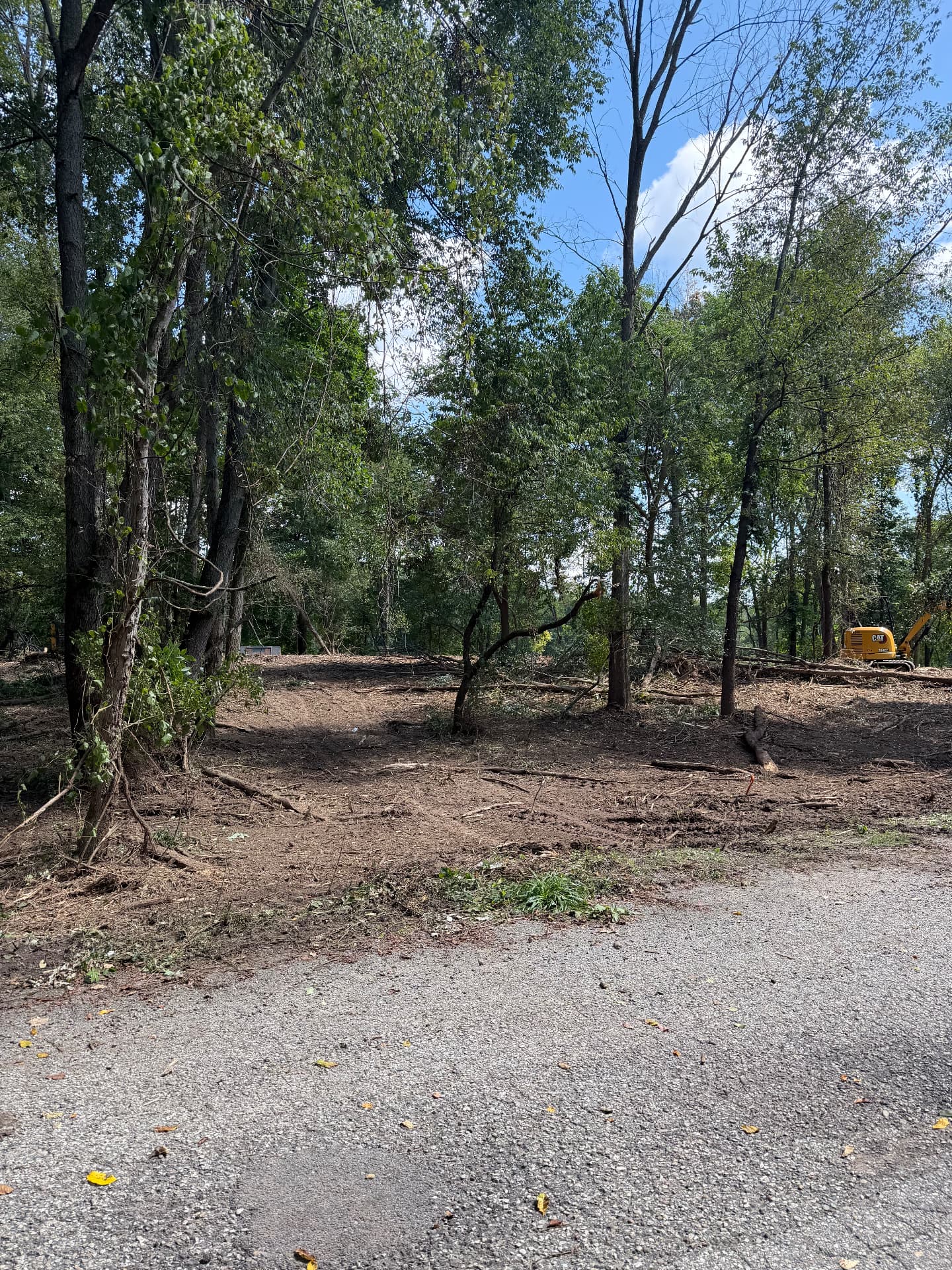 Wooded lot cleared and mulched, opened up with an excavator on site